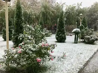 Гостиный двор Зуевский - 80