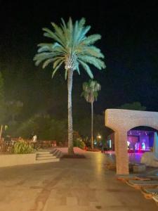 Kilikya Resort Camyuva (Former Elize Beach Resort) - 99