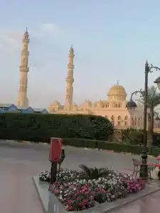 Seagull Beach Resort - Families and Couples Only - 26