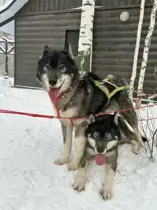 Peski country club - 12