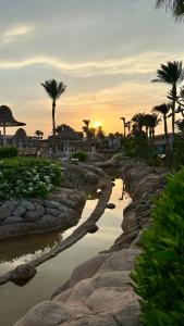 Parrotel Beach Resort - 17