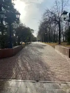 Art Ulianovsk Left Bank - 45