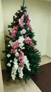 Гранд Каньон - 61