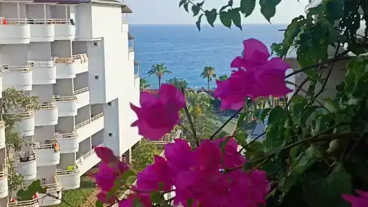 Catamaran Quality Times - All Inclusive - 22