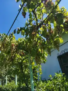 Sevastopol Tourist base - 40