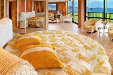 Kaktus Kaktus Albir - 40