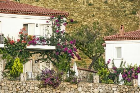 Swan Lake - Adult Only - 27