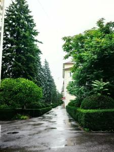 Sanatorium im. S.M. Kirova - 27