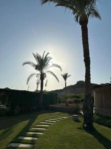 Xperience Golden Sandy Beach - 33