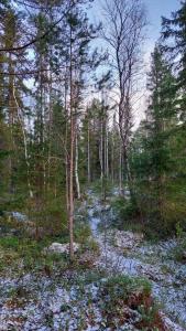 Baza Otdyha Lesnaya - 59