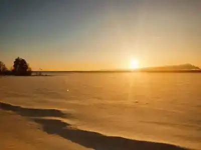 Zagorodnayy Klub Lesnaya Skazka - 24