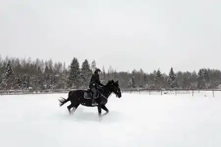 Usad'ba Chetyire Sezona - 46