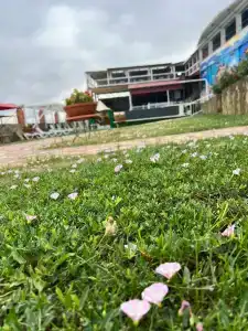Planeta Leta - 20
