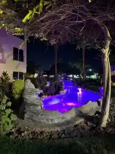 Seagull Beach Resort - Families and Couples Only - 12