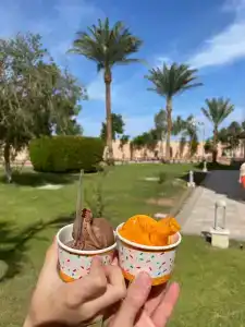 Pickalbatros Aqua Park Resort - - 80