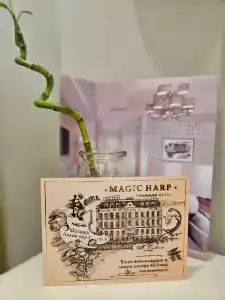 Butik-otel Magic harp - 14