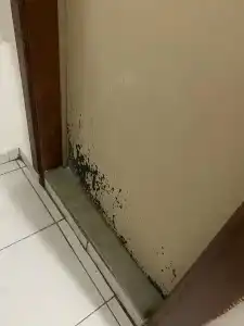 Kleopatra Carina - 41