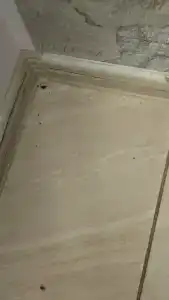 Камыши база отдыха - 41