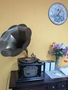 Lotos - 44
