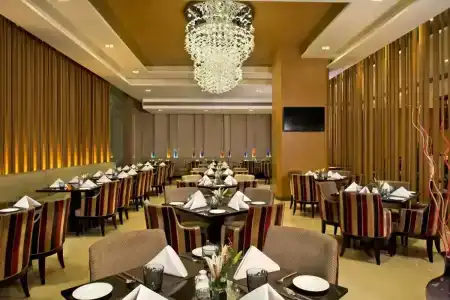 Radisson Blu Jaipur - 91