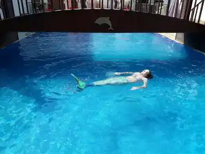 Dolphin Apart & - 13