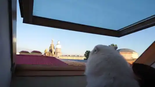 Три МостА - 17