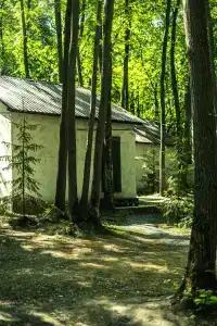 Baza Otdykha Monte-Karlo - 57