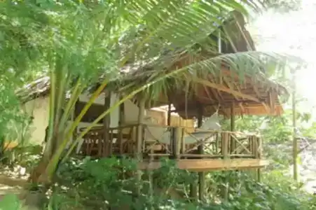 Viking Nature Resort - 65
