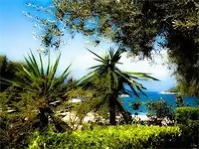 Vila Park Bujari - 18