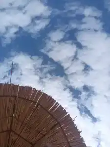 ОАЗИС домики - 54