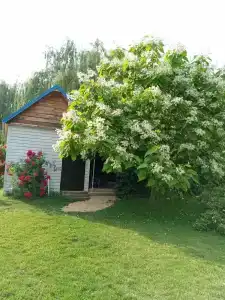 Razdole - 5