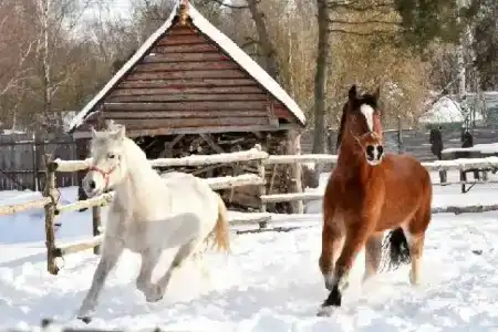 Gostinyij Dvor Znamenskaya Bogatyirskaya Zastava - 16