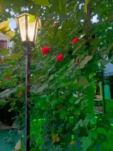 АНДАЛУСИЯ - 69