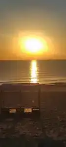 Атлант Экзотик - 98