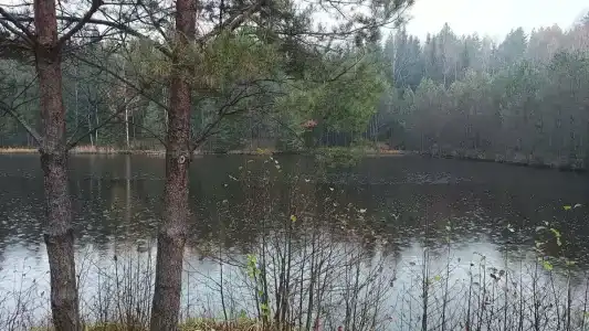 Ohotniche hozyaystvo Sechuga - 26