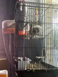 Boutique-Corona - 28