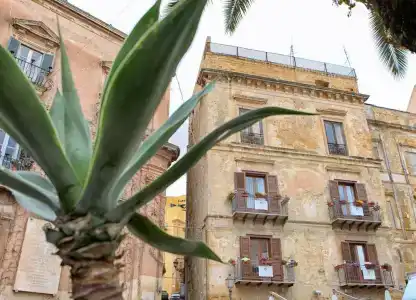 Palazzo del Teatro - 3