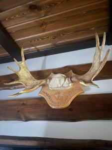 Sports Residence Apart-hotel - 46