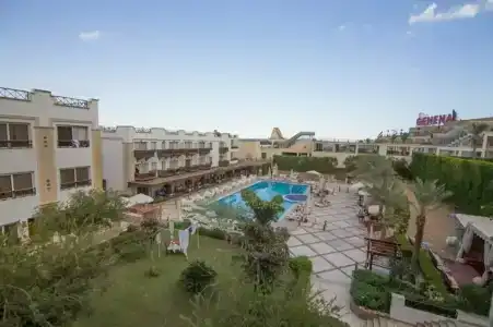 Falcon Naama Star - 16