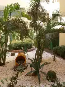 SUNRISE Holidays Resort (Adults Only) - 90