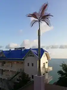 Villa Plaza Guest House - 5