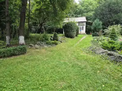 Forest 1961 & Restaurant - 12