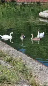 Villa Tat'yana Na Verhneozyornoj - 7