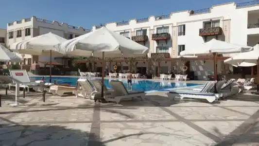 Falcon Naama Star - 36