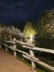 Zagorodny Klub Kura Tse Tse - 21