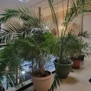 Provans Boutique - 43