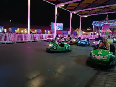 Pickalbatros Jungle Aqua Park - Neverland - 43