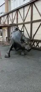 Ресторанно-Гостиничный Комплекс Чернышевой - 9