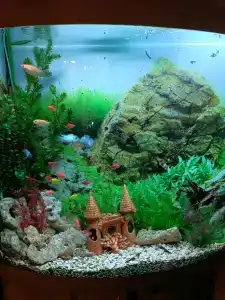 Бутик Евразия - 40