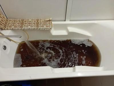 Березина (Минская обл.) - 50